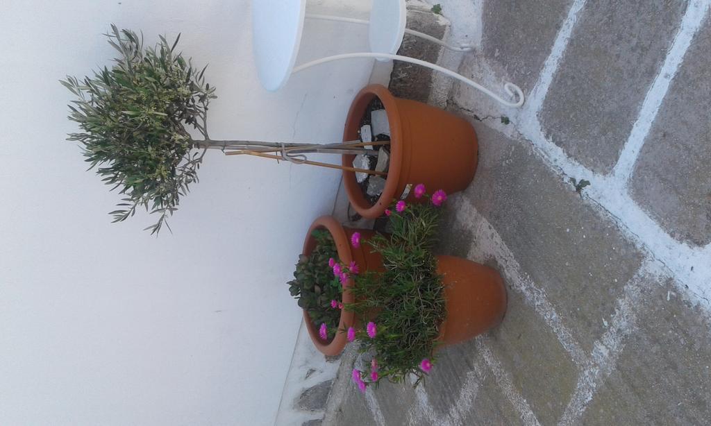 Angela'S Rooms Mykonos Town Екстериор снимка